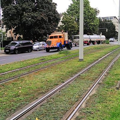 231003 Buessing Elm Treffen Hannover 0013 1000